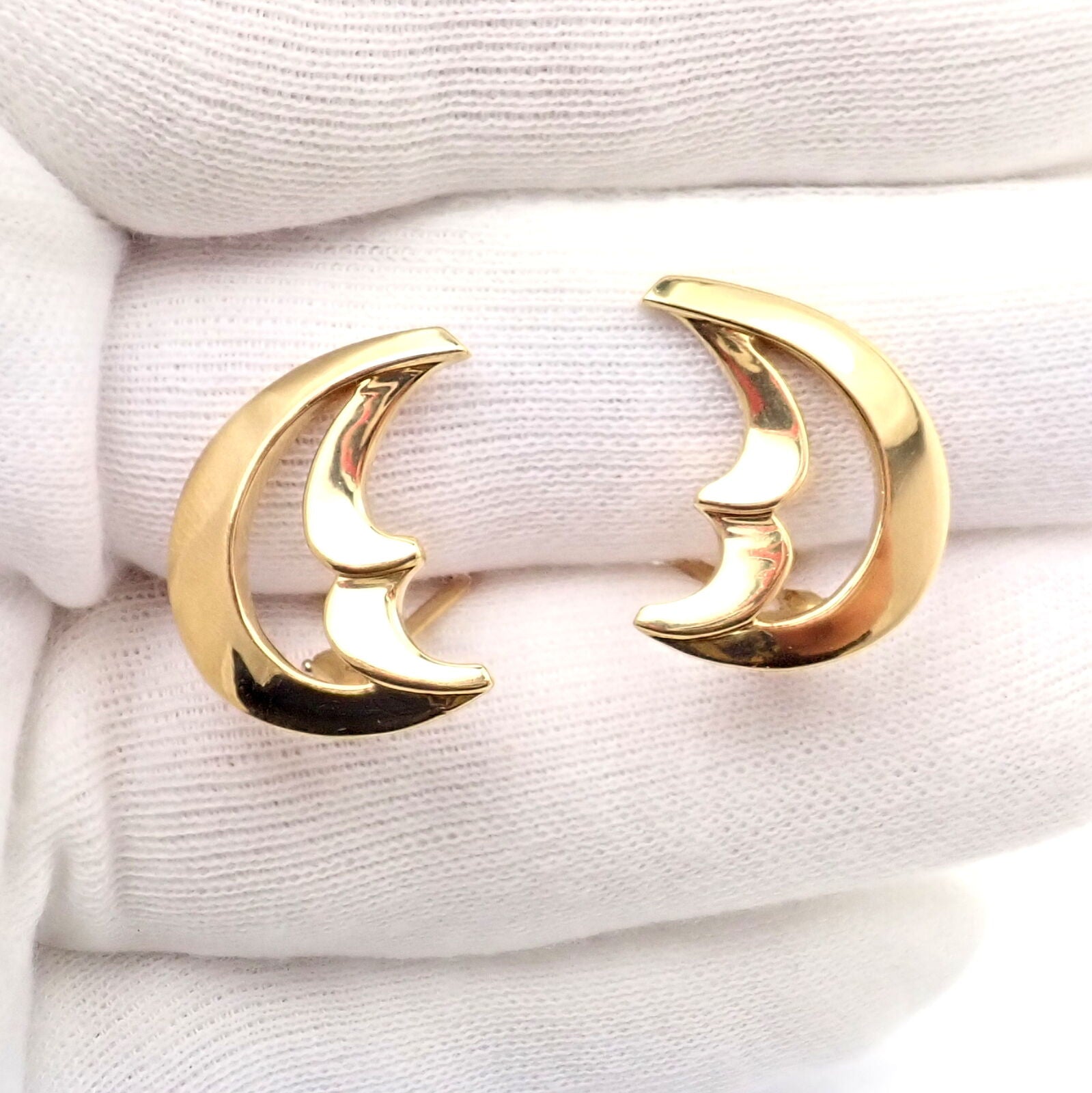 Large Black Snake with Brass Crescent Moon Earrings